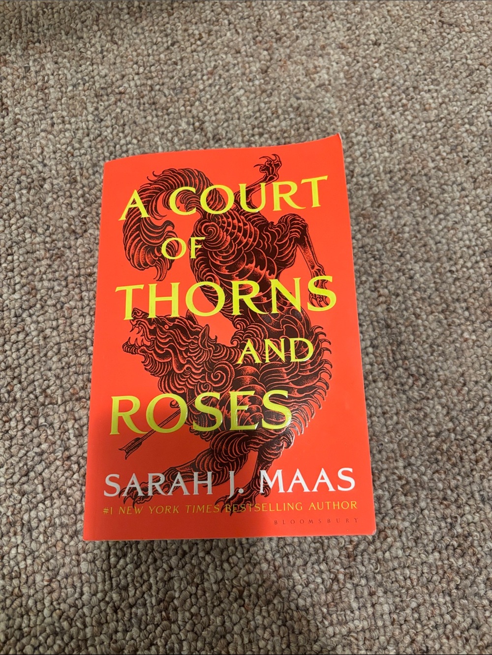 A Court of Thorns and Roses by Sarah J. Maas - Bright Orange Cover